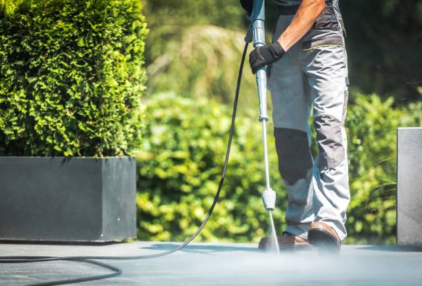 Best Animal Enclosure Cleaning  in Garden City South, NY