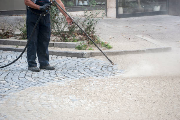 Best Sidewalk and Walkway Cleaning  in Garden City South, NY