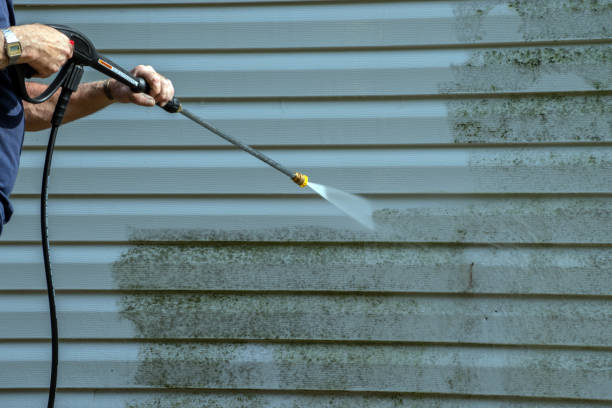 Best Dumpster Area Cleaning  in Garden City South, NY